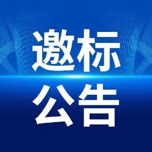 年产6000吨书画用纸技术改造项目（一期工程）EPC跟踪审计及结算审核项目招标邀请书