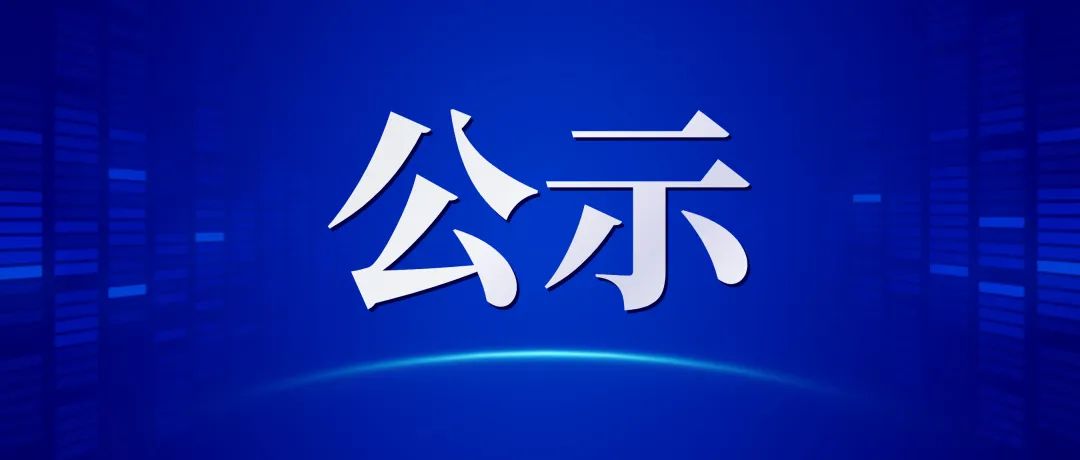 2024年度企业领导人员薪酬信息披露表